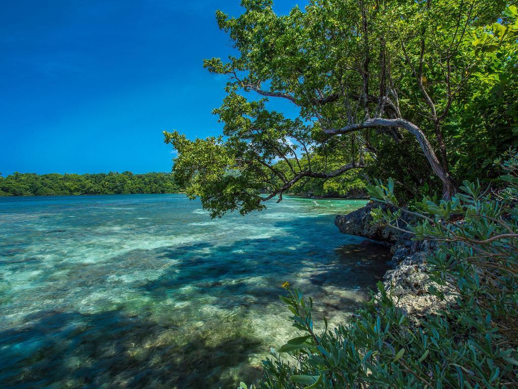 Geejam Hotell Port Antonio Eksteriør bilde